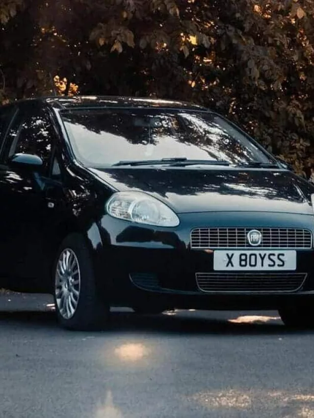 fiat punto