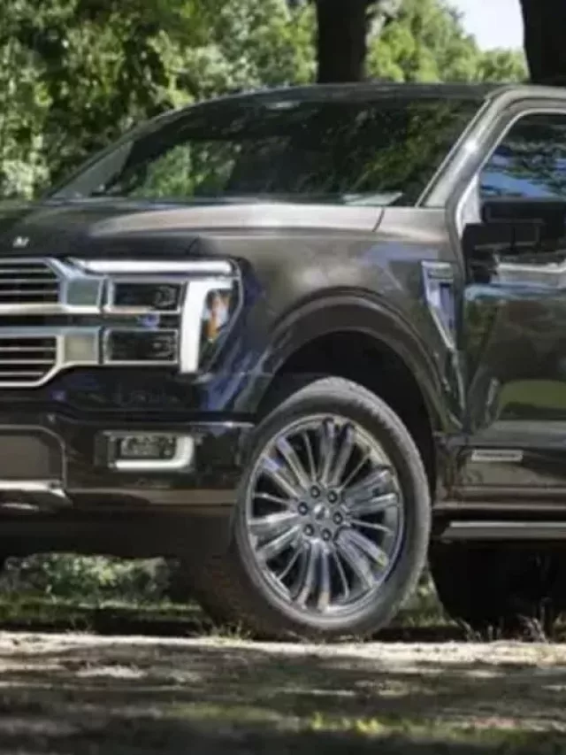 fl_progressive,-capa