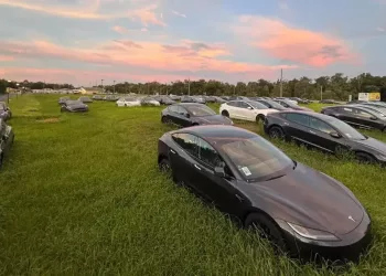 Tesla Model 3 Field cp