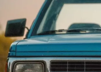 cropped-chevrolet-d20.webp