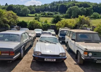 Divulgação/Tewkesbury Auction Centre