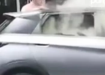 byd fogo BYD Dolphin pega fogo durante recarga improvisada em Santa Maria (RS)